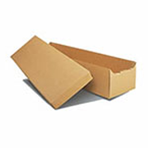 cardboard-cremation-container R